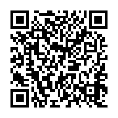 QR code for NPT959