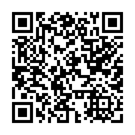 QR code for NPU391