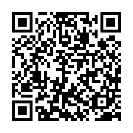 QR code for plate NPX 503