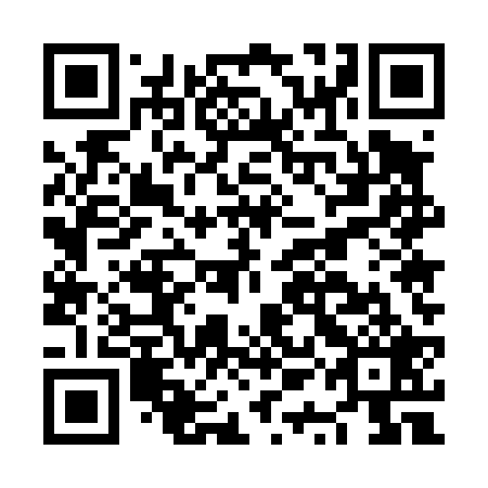 QR code for plate NQE 429