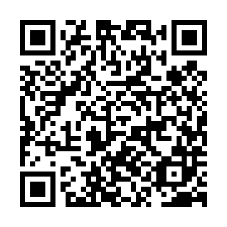 QR code for plate NQE 482