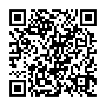 QR code for plate NQJ 313