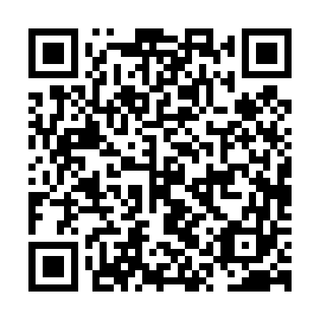 QR code for plate NQP 463