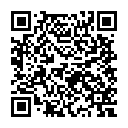 QR code for plate NRB 513