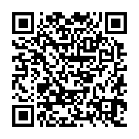 QR code for NRK381
