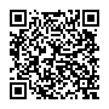 QR code for NRK493