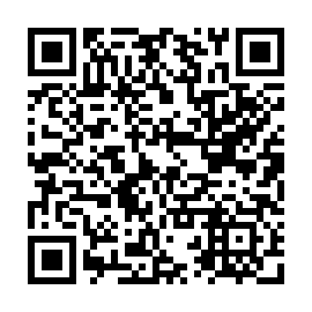 QR code for plate NRP 383