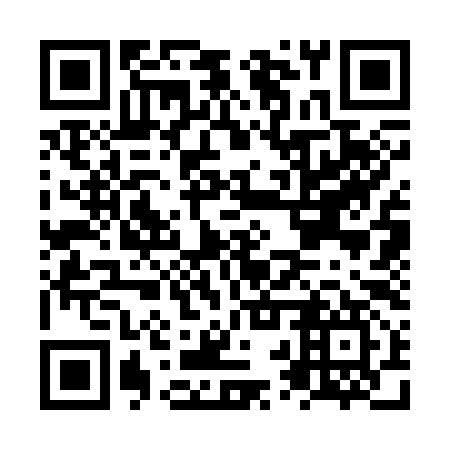 QR code for NRS 397