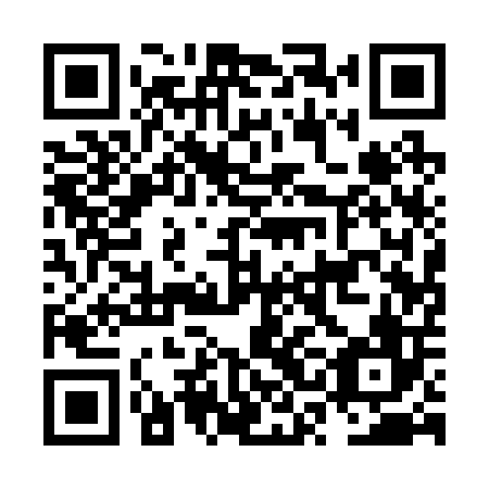 QR code for NSA 206