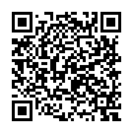 QR code for NSA 994