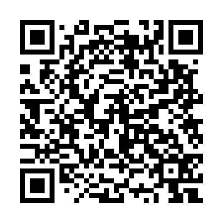 QR code for plate NSB 536