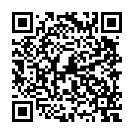 QR code for NSI 497
