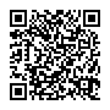 QR code for plate NSR 965