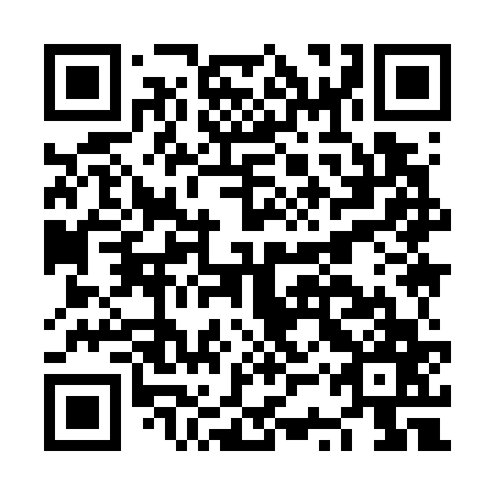 QR code for plate NSY 767