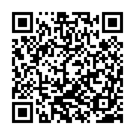 QR code for plate NTE 063