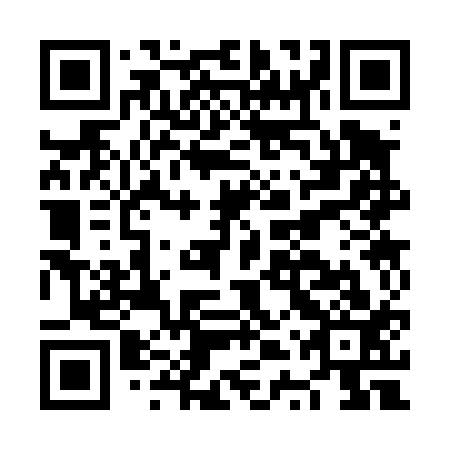 QR code for plate NTS 413