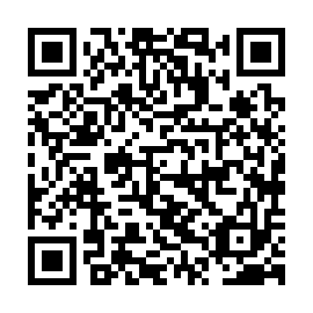 QR code for NTX 313