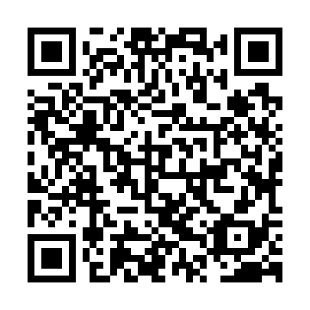 QR code for NTZ 738