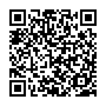 QR code for plate NUB 355