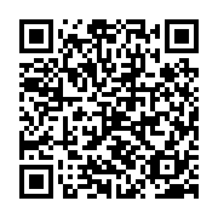 QR code for plate NUE 230