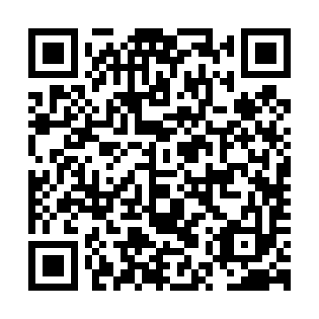 QR code for NUR 493