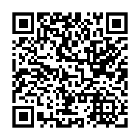 QR code for NVP 953