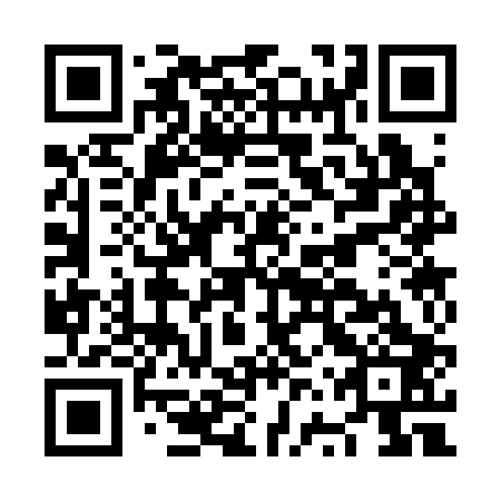 QR code for plate NVS 303