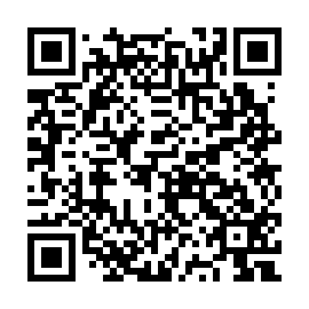 QR code for plate NVS 313