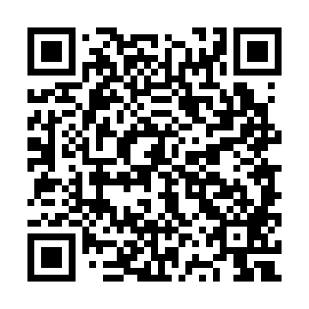QR code for plate NVT 389