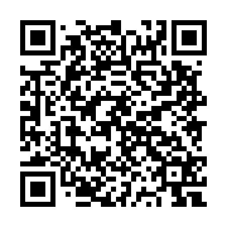 QR code for plate NVX 524