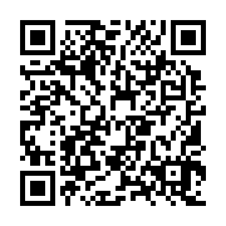 QR code for plate NXM 307