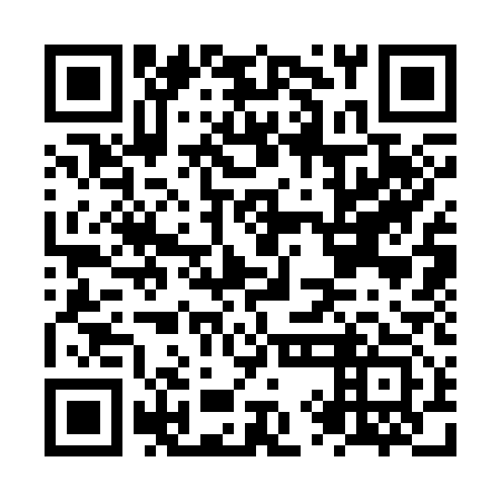 QR code for NYC 313