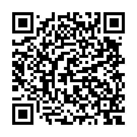 QR code for NYC493