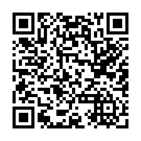 QR code for NYE 355