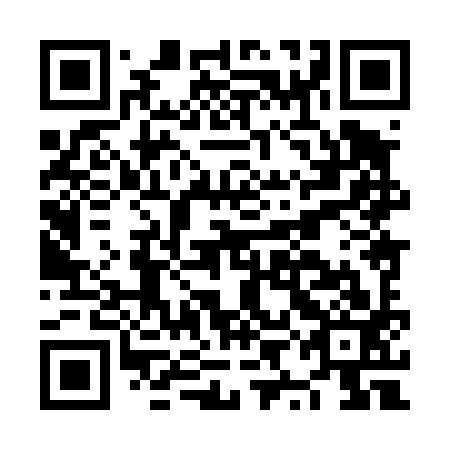 QR code for NYH 493
