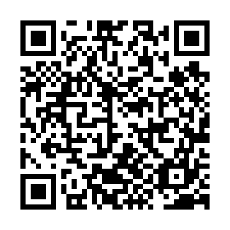QR code for plate NYL 677