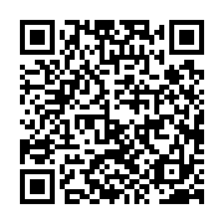 QR code for NYP 733