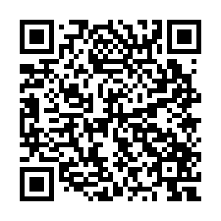 QR code for plate NYQ 347