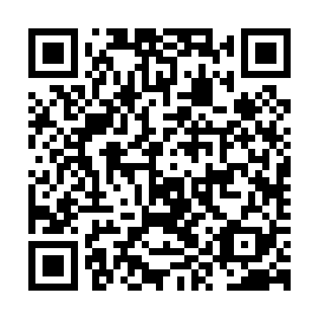 QR code for plate NYR 029