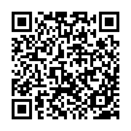 QR code for plate NYR 387