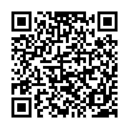 QR code for plate NYS 217