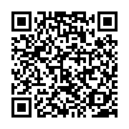 QR code for NYS229