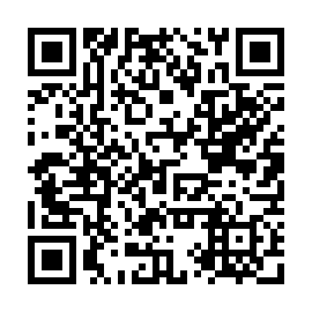 QR code for NYT378