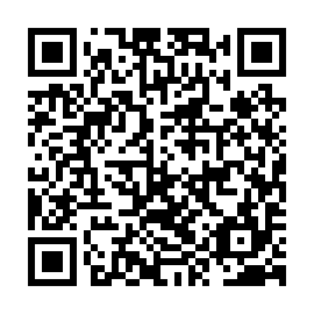 QR code for NYU 294