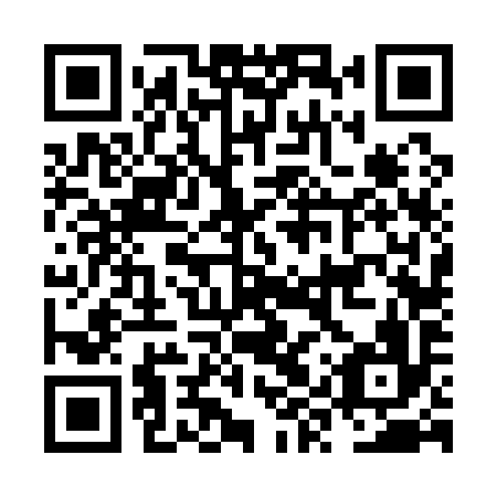 QR code for plate NYV 196