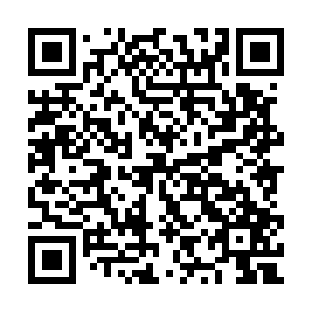 QR code for plate NYX 507