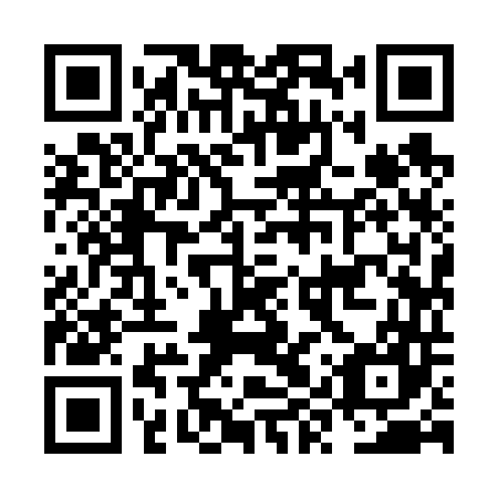 QR code for NYY 647