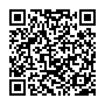 QR code for NYZ 271
