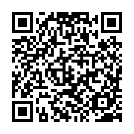 QR code for plate NYZ 285