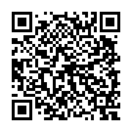 QR code for plate NZD 494